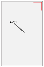 Cut Sheet Half Back Trim175