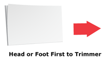 spine trim book foot first225